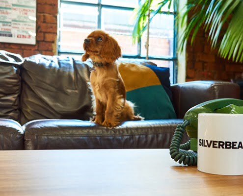 Interior Design Photography of Silverbean Agency's office in Newcastle upon Tyne 4